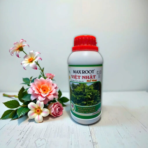 Phân Bón Max Root Bung Đọt Ra Rễ Mai Vàng Việt Nhật - OVN34