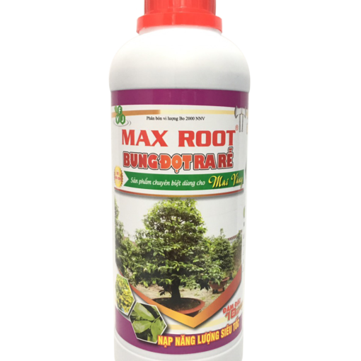 max-root-bung-dot-ra-re