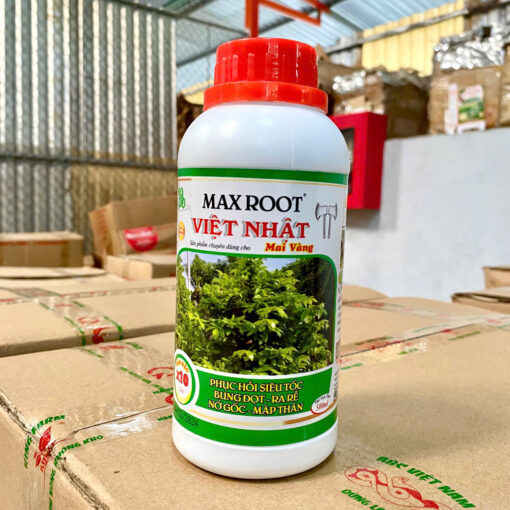 Max Root Bung Đọt Ra Rễ chuyên mai vàng 500ml