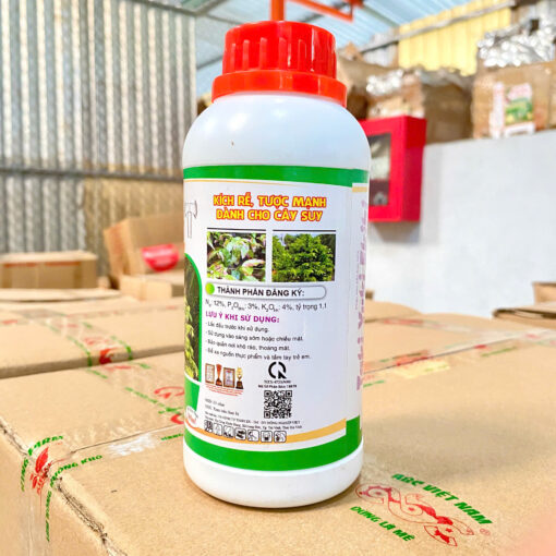 Max Root Bung Đọt Ra Rễ chuyên mai vàng 500ml mặt sau