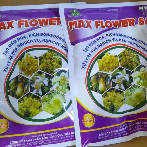 MAX FLOWER 86