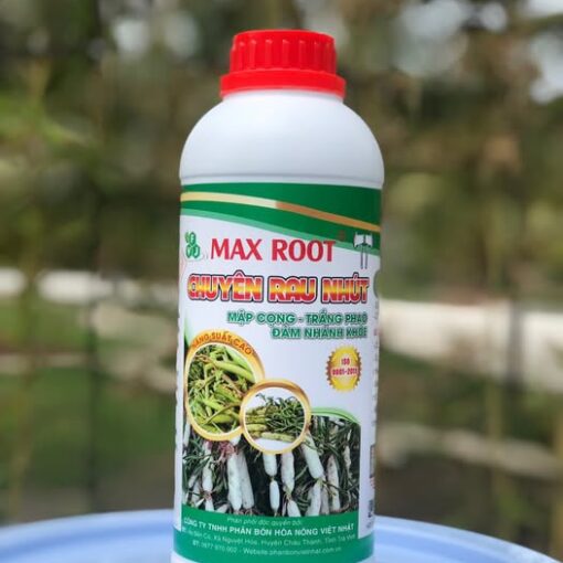 Max Root Chuyên Rau Nhút