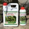 Max Root Bung Đọt Ra Rễ mai vàng can 5L mặt trước