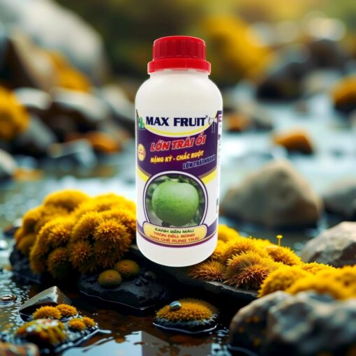 Phân bón Max Fruit Lớn trái Ổi