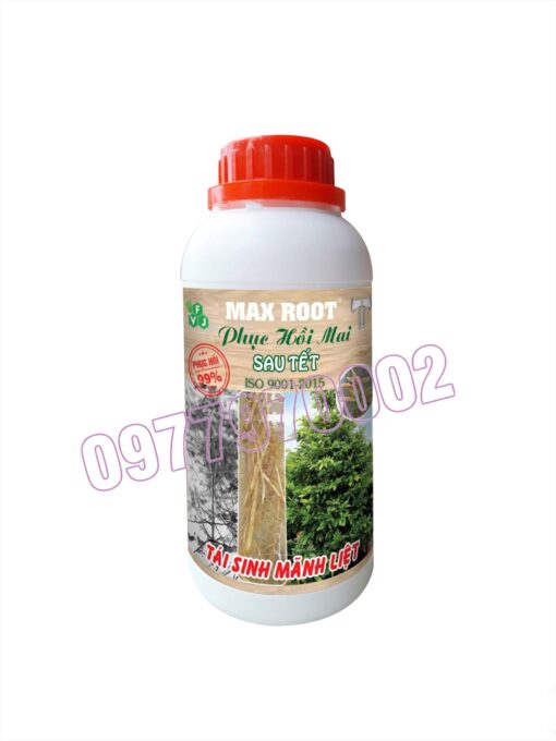 Phân Bón Max Root - Phục Hồi Mai Sau Tết