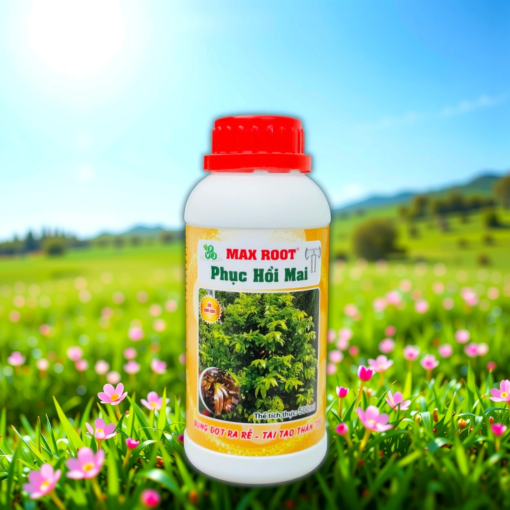 Phân Bón Max Root Phục Hồi Mai - OVN12