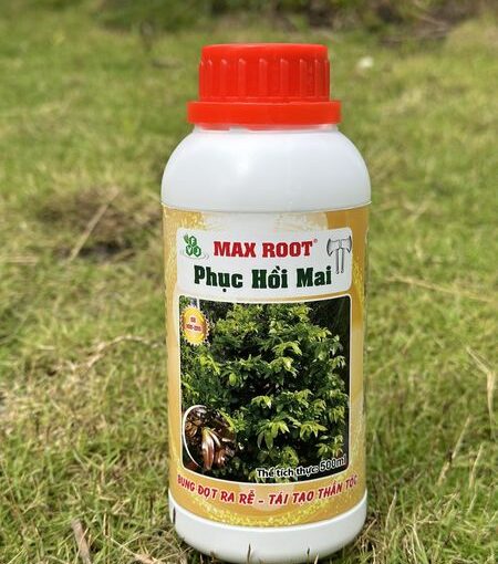 Max Root Phục Hồi Mai 500ml