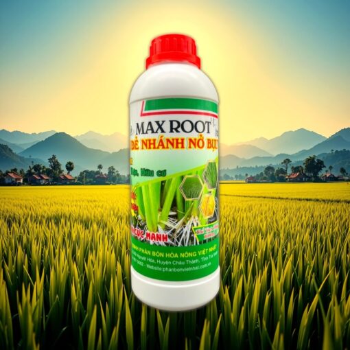 Phân bón Max Root Đẻ nhánh nở bụi