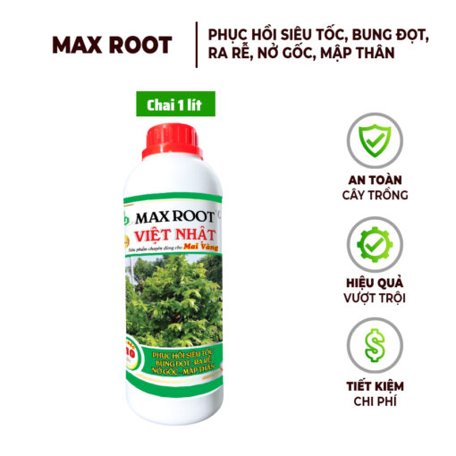 Phân Bón Max Root Việt Nhật – Bung Đọt Ra Rễ Mai Vàng