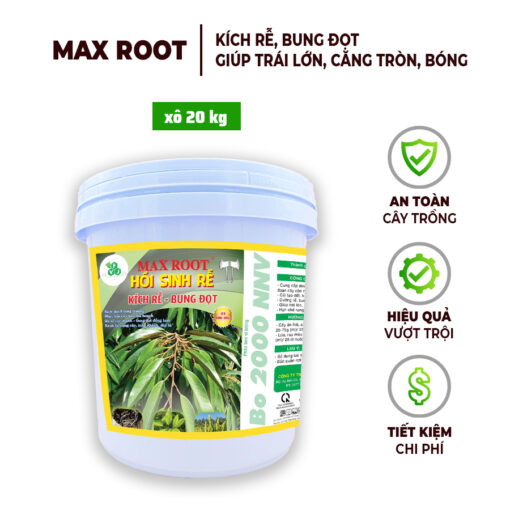 Phân Bón Max Root – Hồi Sinh Rễ