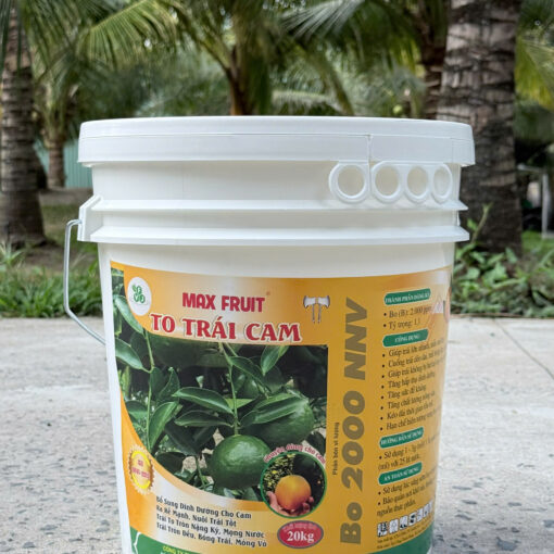 Max Fruit To Trái Cam 22kg