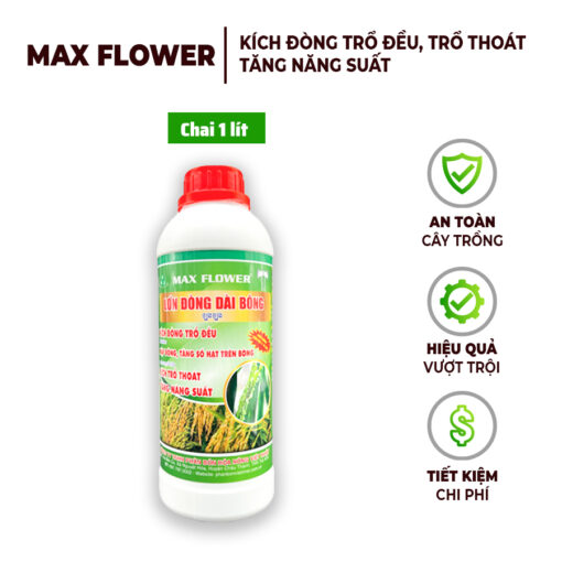 Phân Bón Max Flower – Lớn Đòng Dài Bông