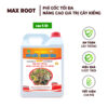 Phân Bón Mai Vàng Max Root – Nở gốc bung tàn – Can 5L