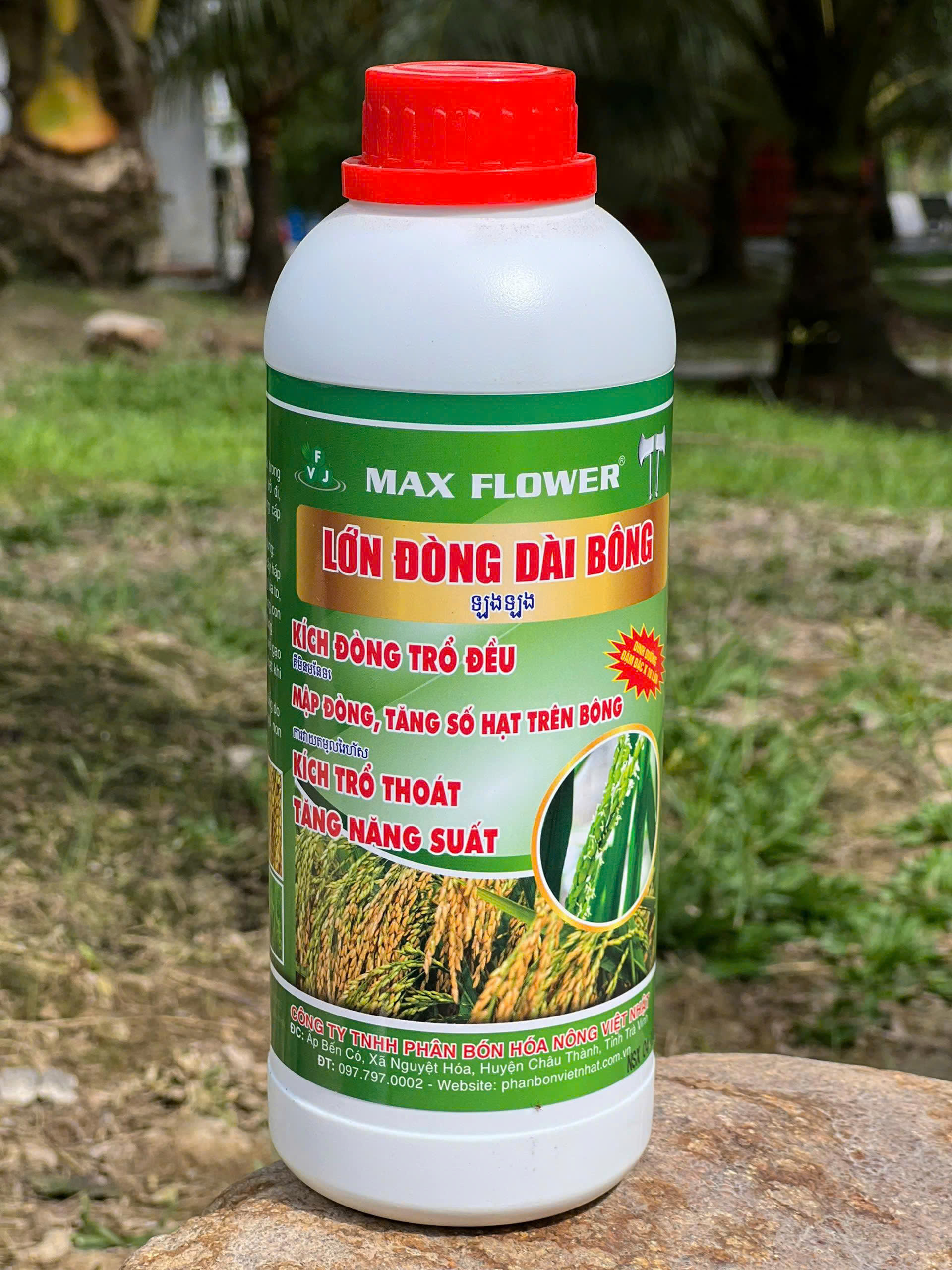Max Flower Lớn Đòng Dài Bông 1L Max Flower Lớn Đòng Dài Bông 1L