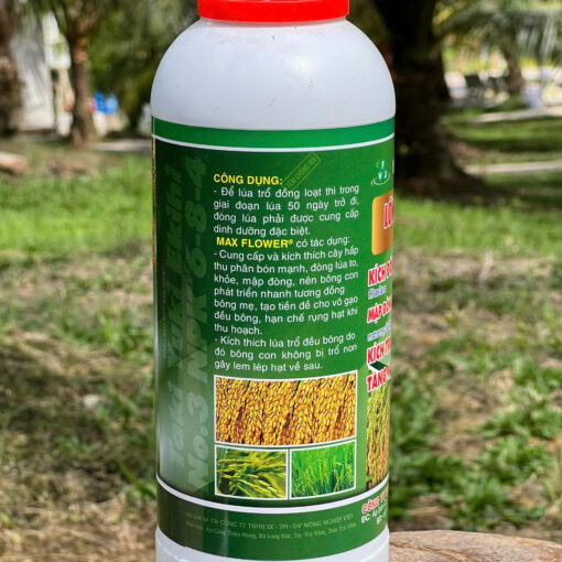 Max Flower Lớn Đòng Dài Bông 1L mặt sau