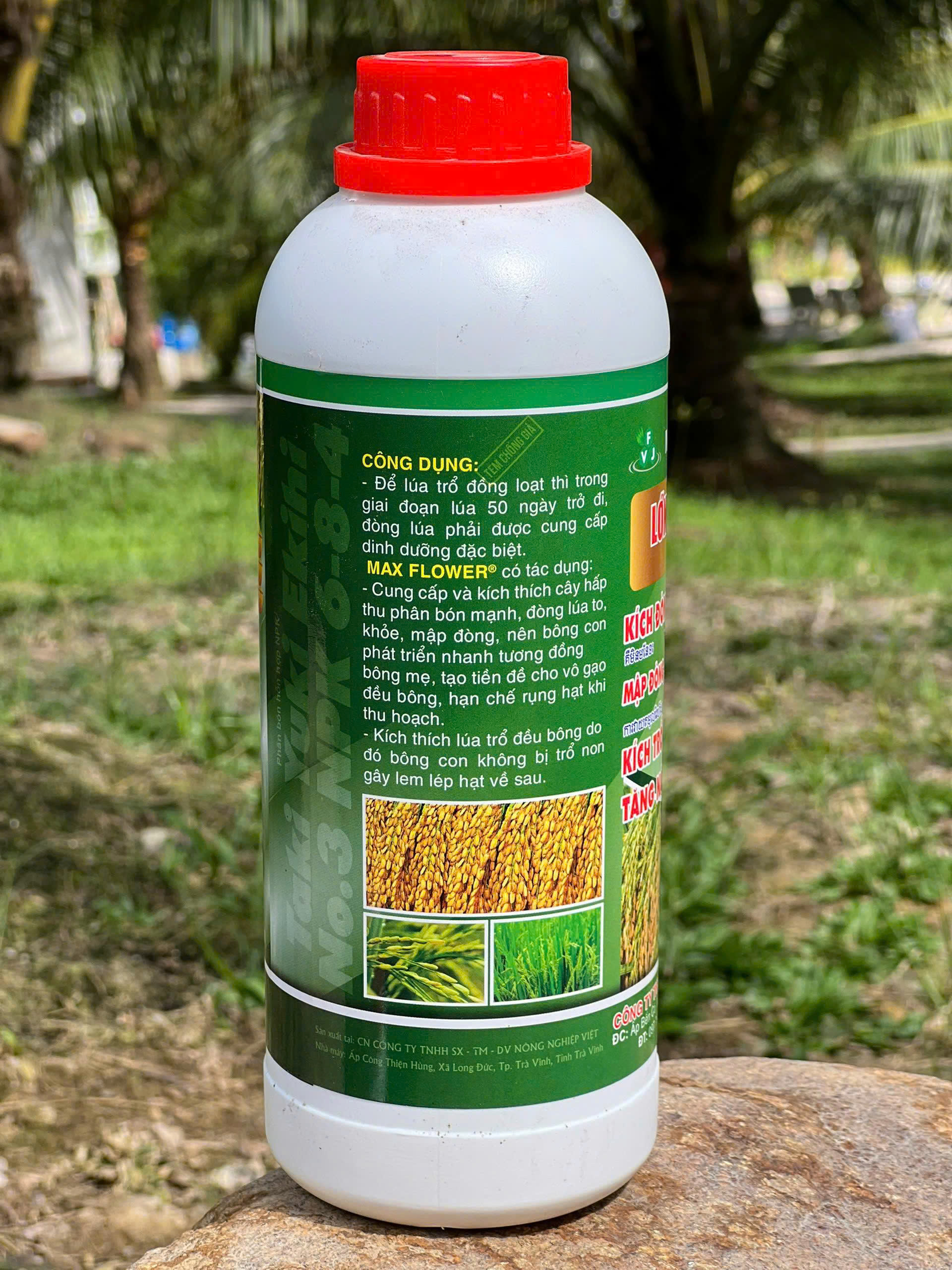 Max Flower Lớn Đòng Dài Bông 1L mặt sau Max Flower Lớn Đòng Dài Bông 1L mặt sau