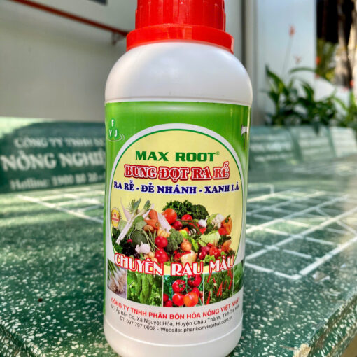 Max Root Bung Đọt Ra Rễ chuyên rau màu