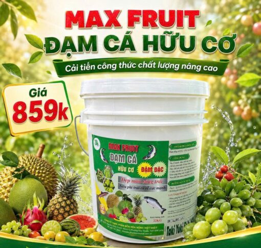 ĐẠM CÁ ĐẬM ĐẶC 12-3-4