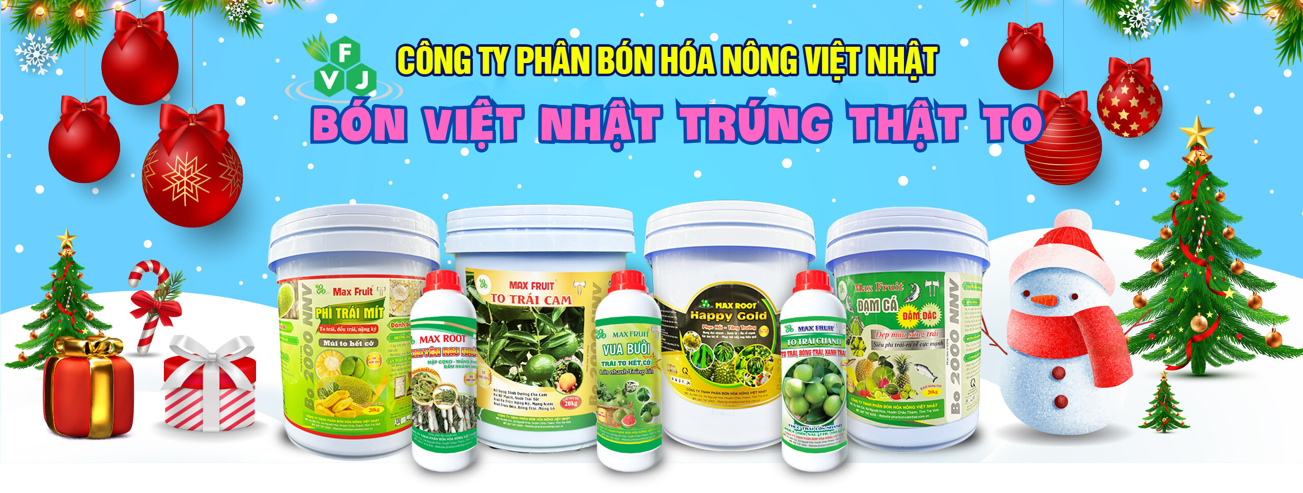 Ảnh Bìa Việt Nhật