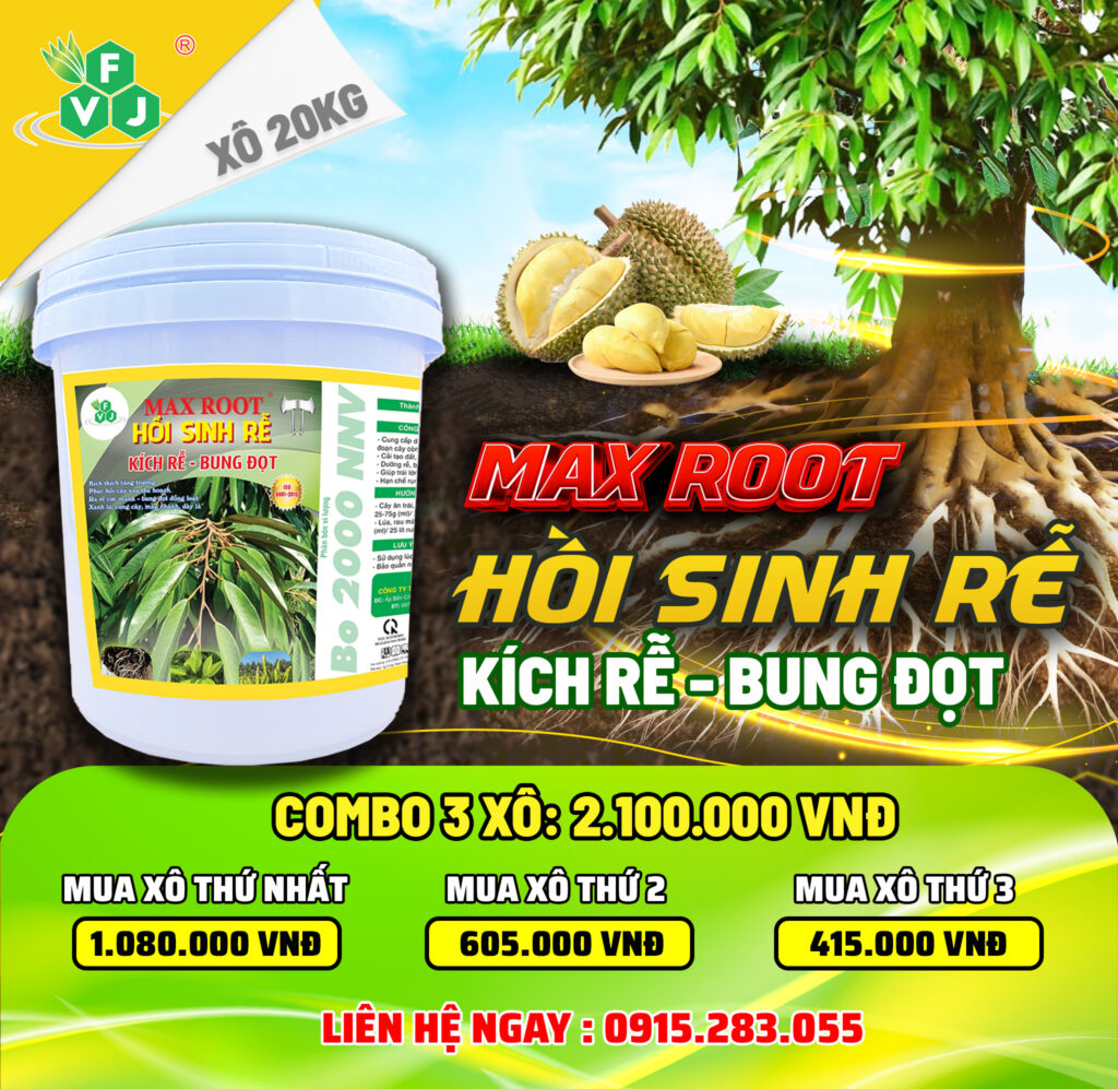 Phân Bón Phục Hồi Cây