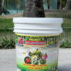 Max Fruit Thúc Trái Dưỡng Cành
