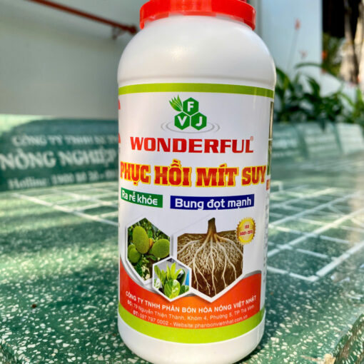 Wonderful Phục Hồi Mít Suy 500ml