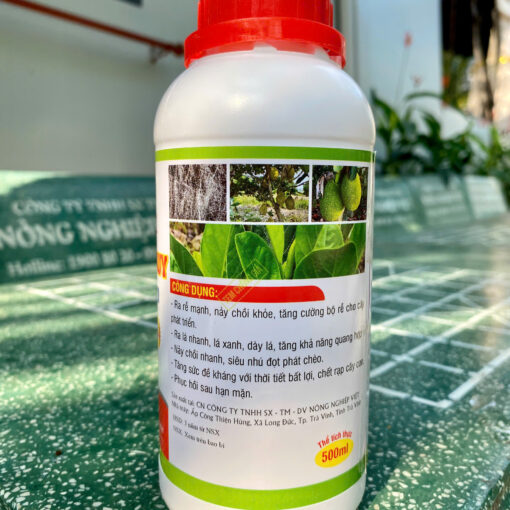 Wonderful Phục Hồi Mít Suy 500ml mặt sau