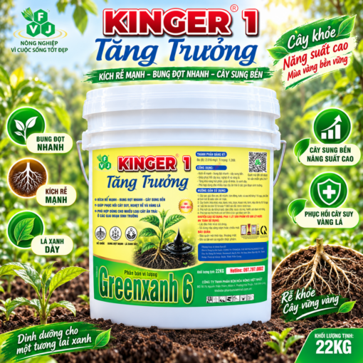 OVN122 PHÂN BÓN KINGER 1 - TĂNG TRƯỞNG (22KG)