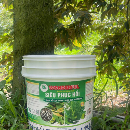 Xô SIÊU PHỤC HỒI 12-3-4 sr 1