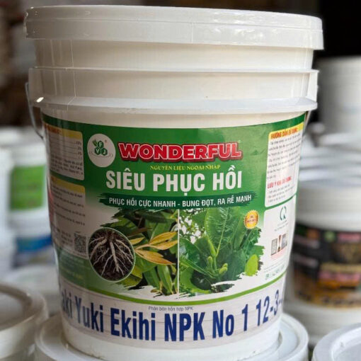 Xô SIÊU PHỤC HỒI 12-3-4 sr 1