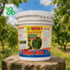 QUEEN 1 - BUNG ĐỌT RA RỄ