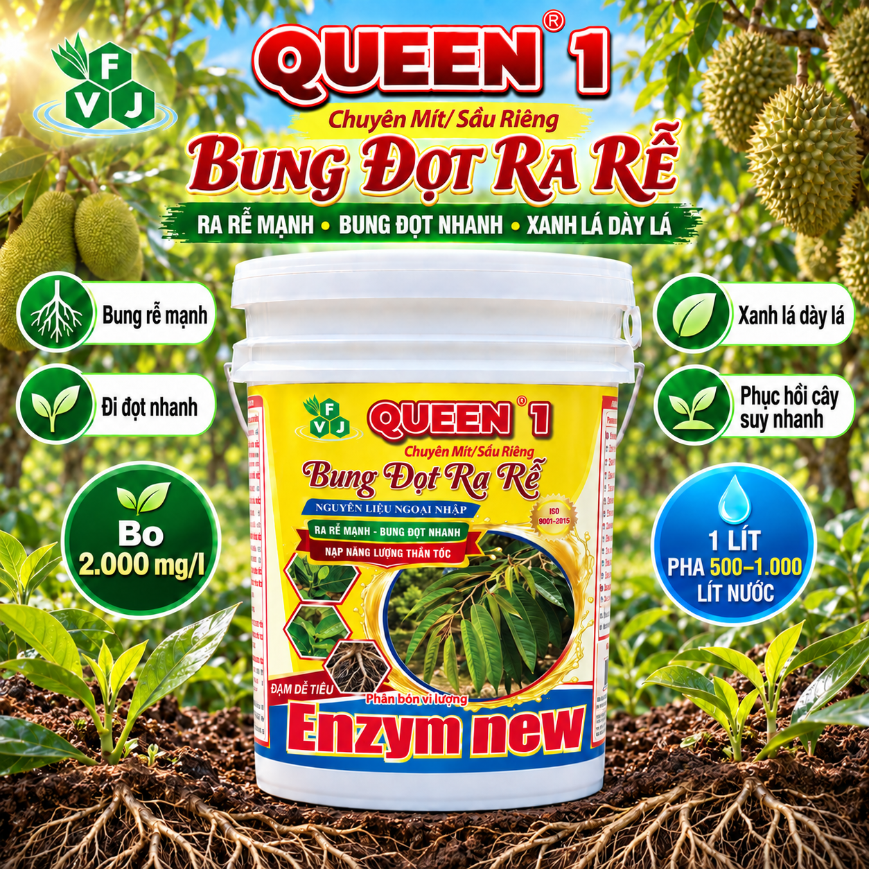 QUEEN 1 - BUNG ĐỌT RA RỄ QUEEN 1 - BUNG ĐỌT RA RỄ