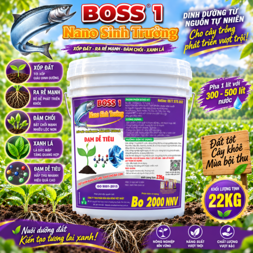 PHÂN BÓN BOSS 1 – NANO SINH TRƯỞNG (F) (22KG) (OVN150)